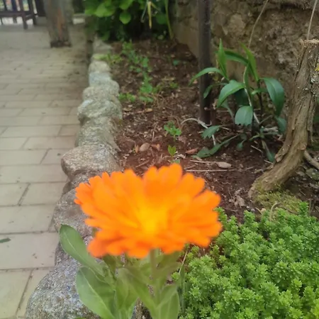 Вилла Casa Ninetta