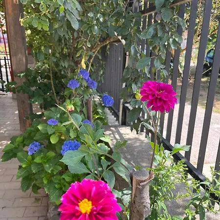 Casa Ninetta Вилла