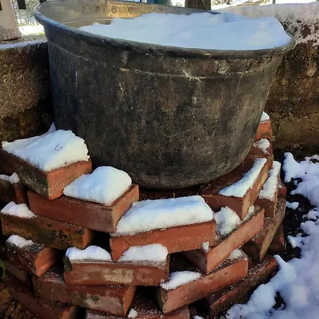 Casa Ninetta Villa *